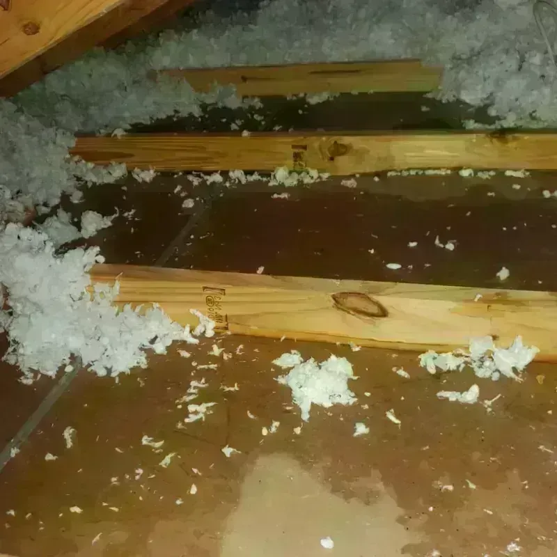 Attic Water Damage in Johnson County, AR