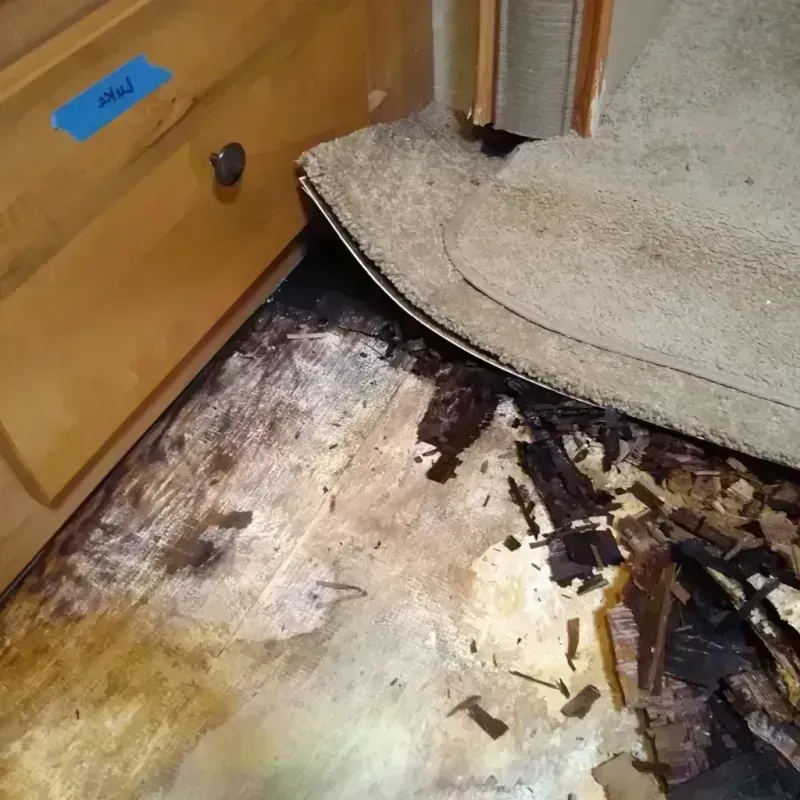 Wood Floor Water Damage in Johnson County, AR